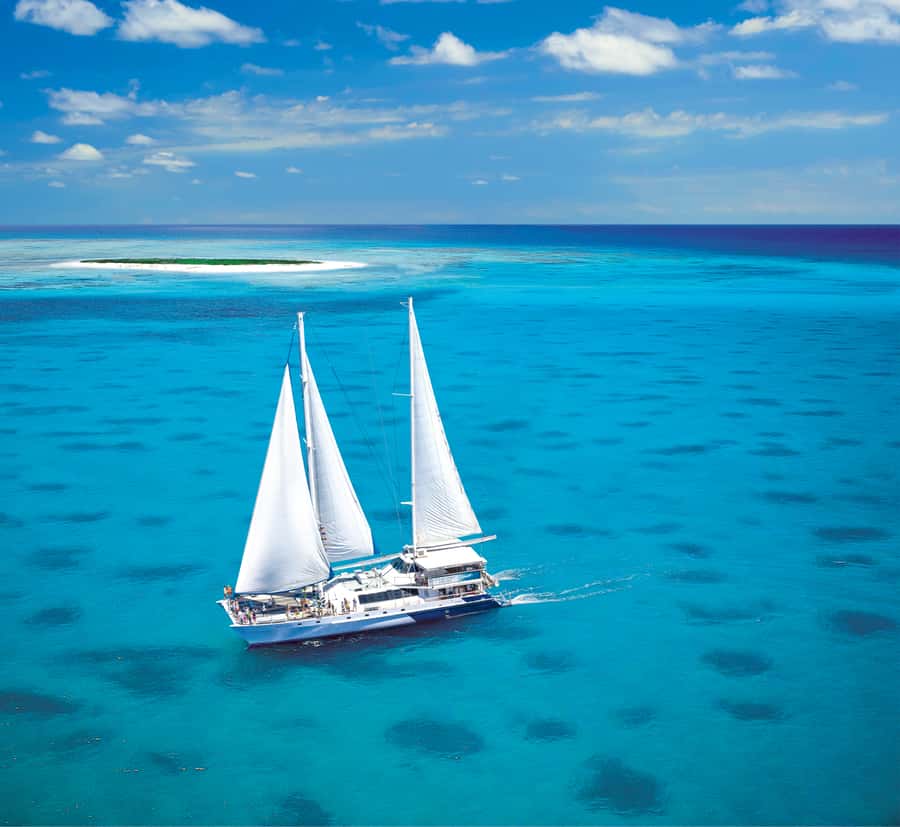 Cairns: Ocean Spirit Great Barrier Reef Full Day Tour - Michaelmas Cay: limited-access reef time and a seabird bonus