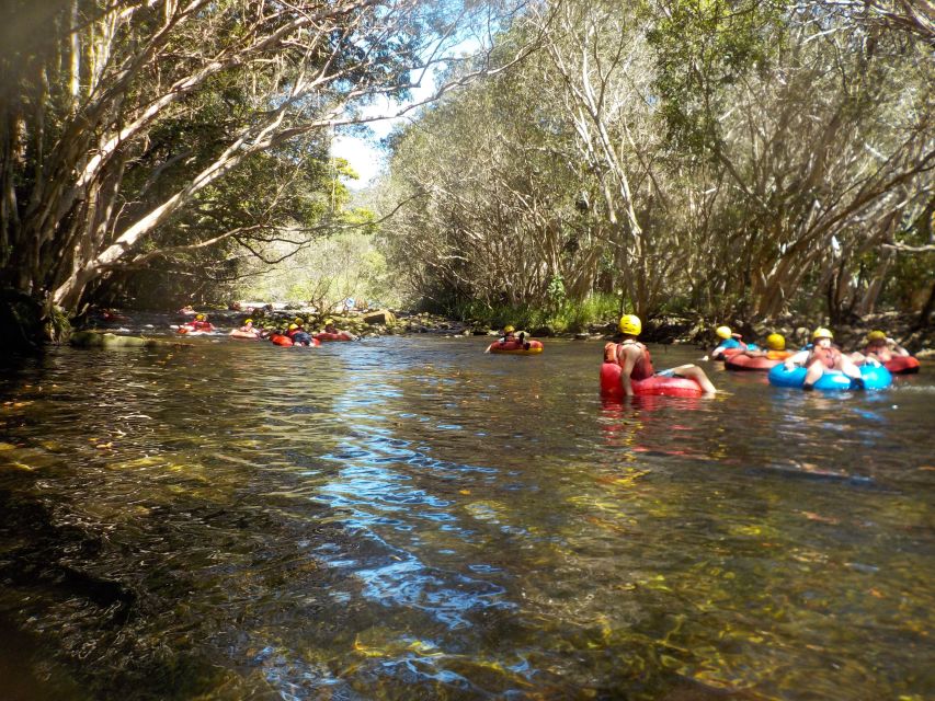 Cairns or Northern Beaches: Rainforest River Tubing - Mid-trip highlights: the bridge stop and a fresh-water break