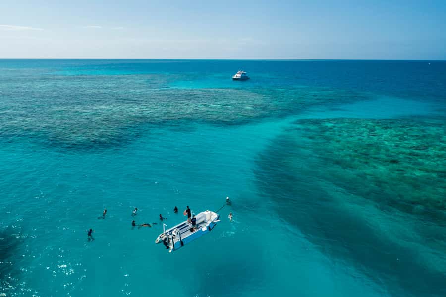 Cairns: Outer and Coral Cay Snorkel and Dive Cruise - The 20m Fast Cat Ride: Comfort Plus Fresh Start