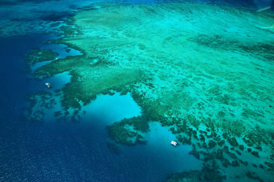 Cairns: Outer Edges of The Great Barrier Reef Scenic Flight - Green Island, Arlington Reef, and the outer-edge route you can actually visualize