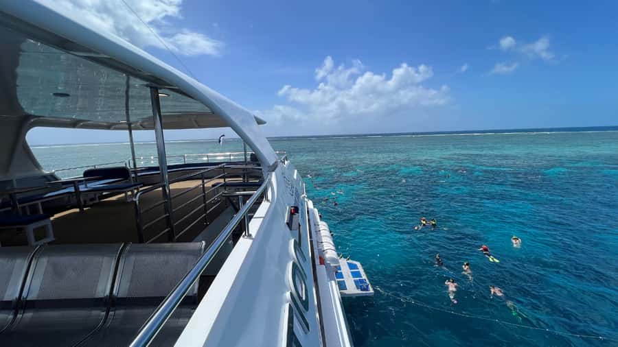 Cairns: Outer Great Barrier Reef Full-Day Tour with Lunch - Wine, cheese, and the return glide to Cairns