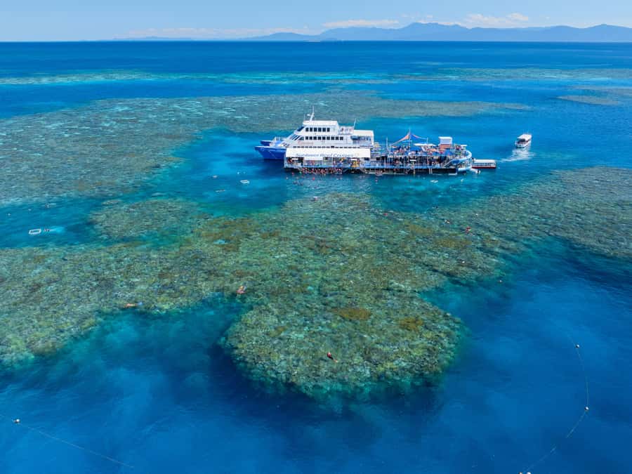 Cairns: Outer Great Barrier Reef Pontoon with Activities - Moore Reef pontoon: where the day actually happens