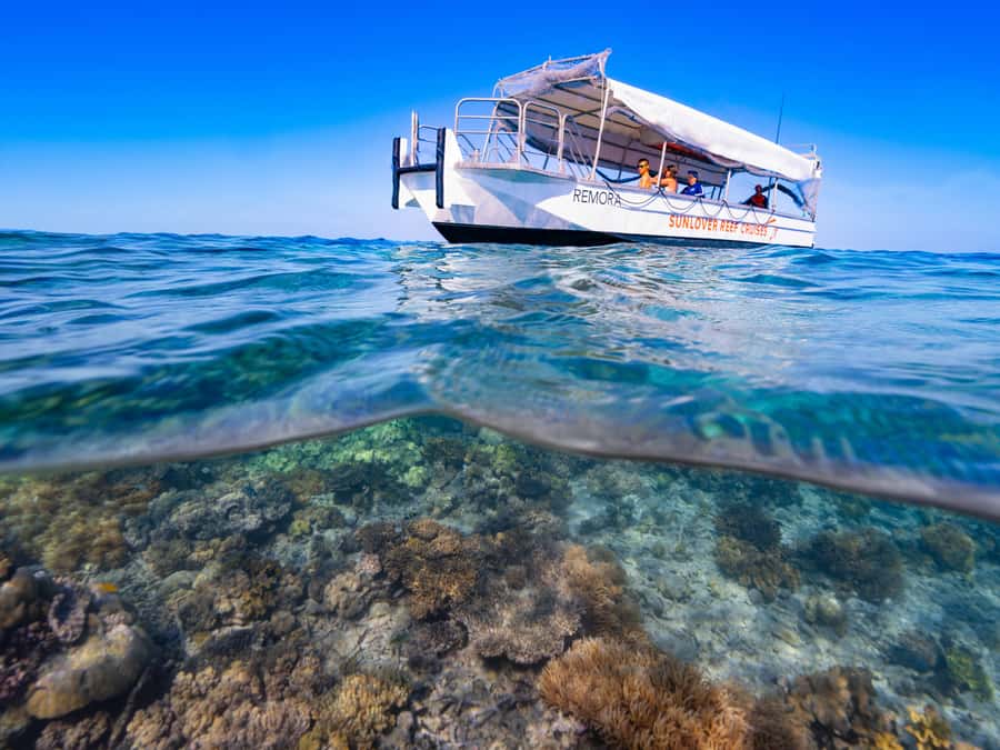 Cairns: Outer Great Barrier Reef Pontoon with Activities - Should you book Sunlover Reef Cruises Outer Great Barrier Reef pontoon?