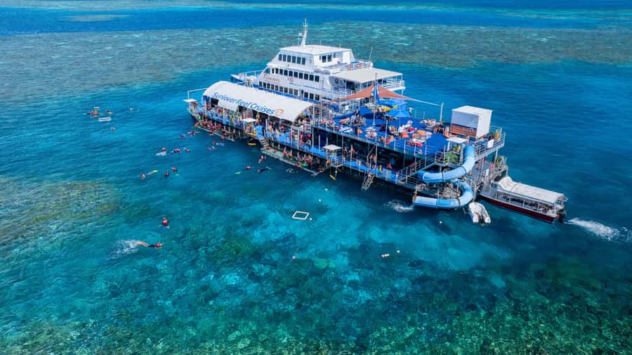 Cairns: Outer Great Barrier Reef Pontoon with Activities - From Cairns to the Outer Reef: catamaran timing and sea-sickness reality