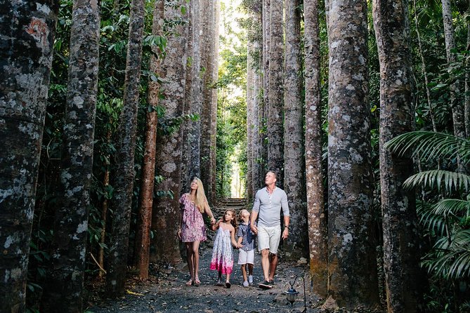 Cairns Paronella Park Herberton and Wild life Tour - Price and value at $204.41, plus admission costs