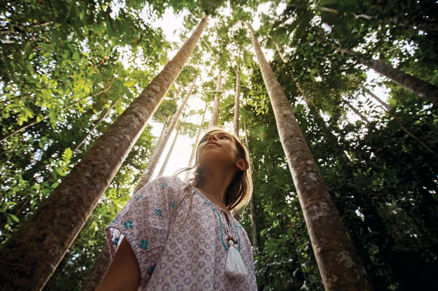 Cairns: Paronella Park Rainforest Full-Day Tour with Dinner - Key points before you go