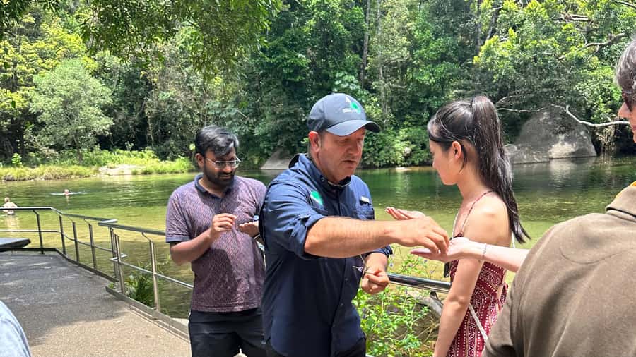 Cairns: Paronella Park Rainforest Full-Day Tour with Dinner - Babinda Boulders: Devils Pools and the swim choice