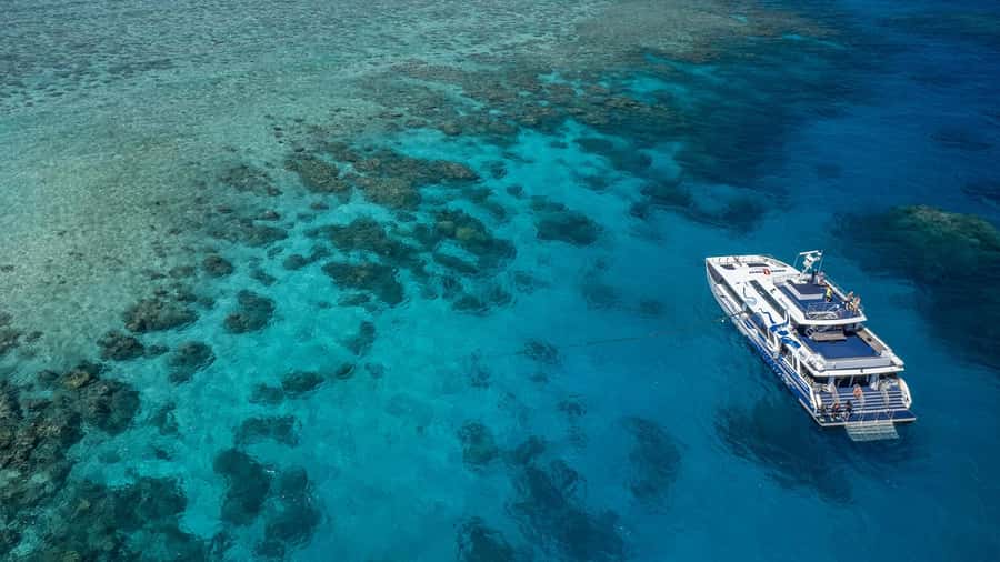 Cairns: Premium Snorkelling and Diving Reef Day Trip - AquaQuest Comfort: Sun Decks, A/C Indoors, and Hot Showers That Actually Help