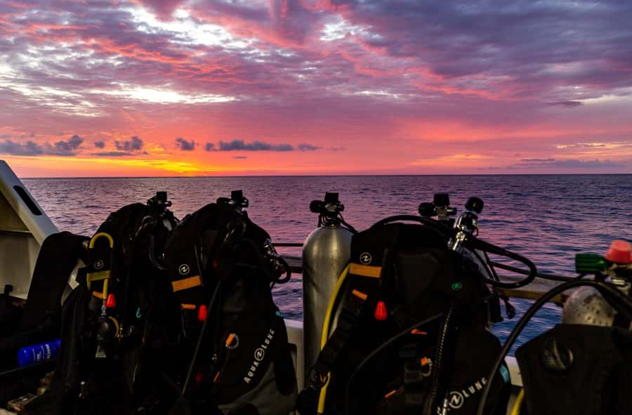 Cairns: Pro Dive 5 Day Learn to Dive Great Barrier Reef - Should you book Pro Dive Cairns for PADI Open Water?