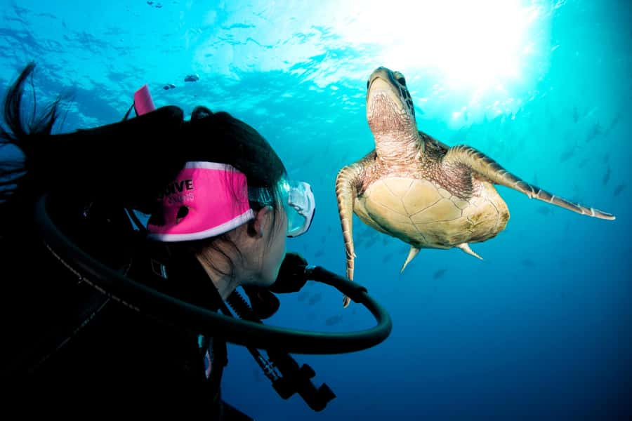 Cairns: Pro Dive Great Barrier Reef 3 Day/2 Night Dive Trip - Life onboard: air-conditioned comfort and meals that actually fuel you
