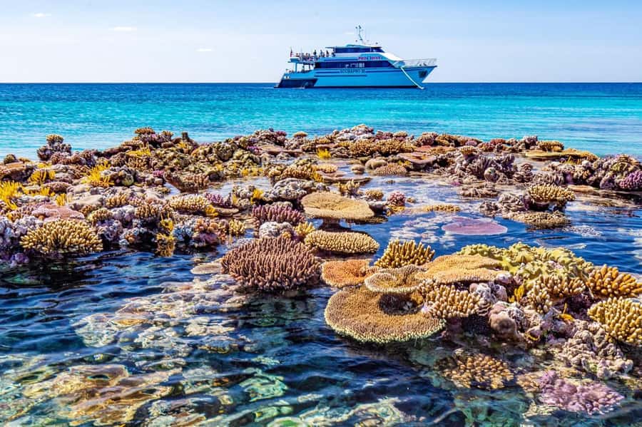 Cairns: Pro Dive Great Barrier Reef 3 Day/2 Night Dive Trip - Gear and support: equipment included, plus training help when you need it