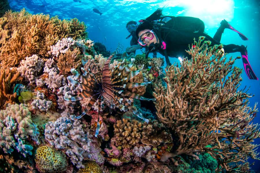 Cairns: Pro Dive Great Barrier Reef 3 Day/2 Night Dive Trip - Price and logistics: what you pay, what you don’t, and what it really means