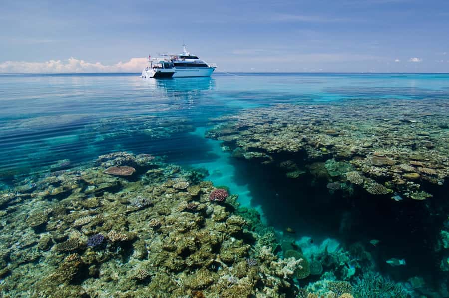 Cairns: Pro Dive Great Barrier Reef 3 Day/2 Night Dive Trip - 19 sites, 4 outer reef areas, and up to 11 day and night sessions
