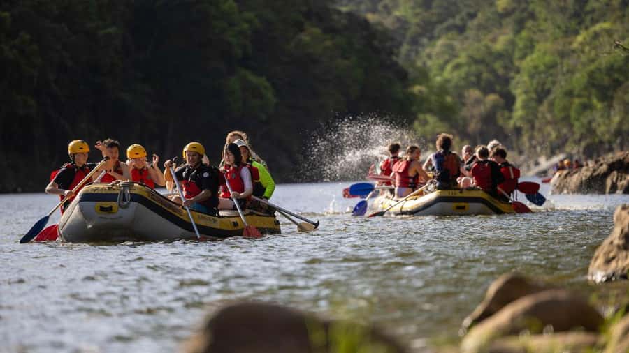 Cairns: Raging Thunder Barron Gorge River Rafting Trip - Rainforest views in a gorge: what you actually notice