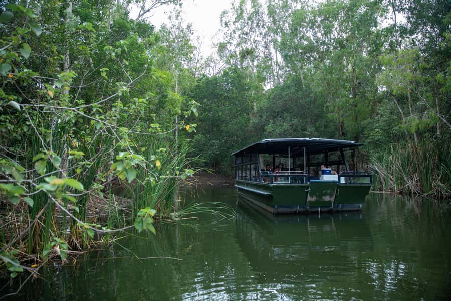 Cairns Shore Excursion: Crocodile & Wildlife Park Tour - What to bring so your day feels easy
