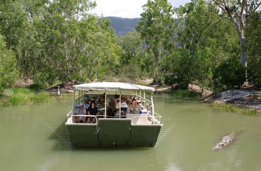 Cairns Shore Excursion: Crocodile & Wildlife Park Tour - What the wetlands cruise really delivers on