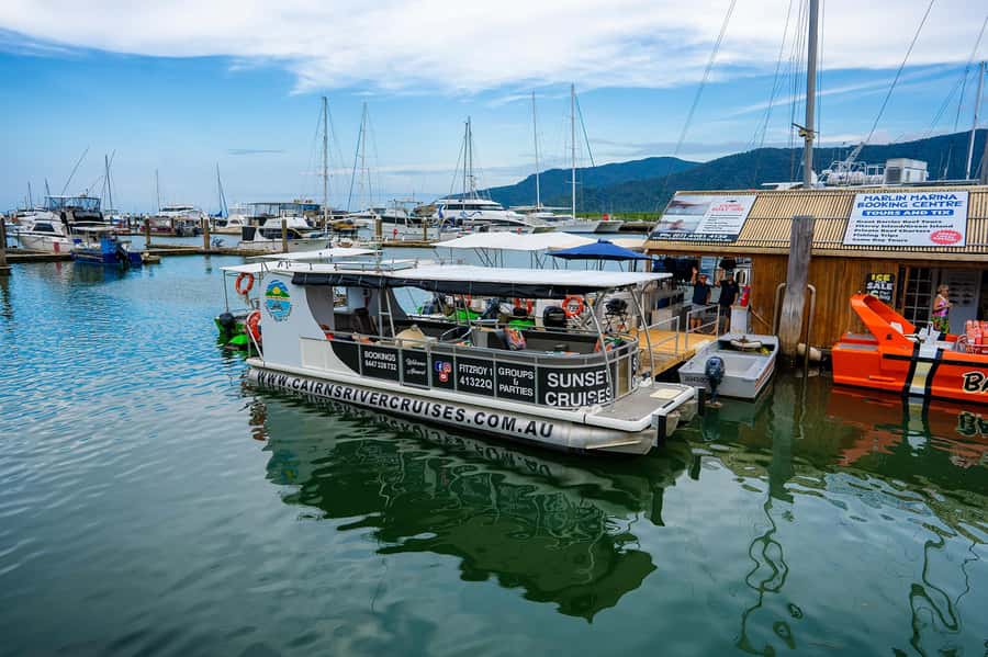 Cairns: Sightseeing River Boat Safari with Soft Drinks - What 75 minutes on calm water feels like (and who it suits)