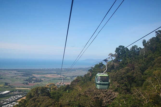 Cairns Small-Group Kuranda Tour: Skyrail & Scenic Railway - Key highlights worth caring about