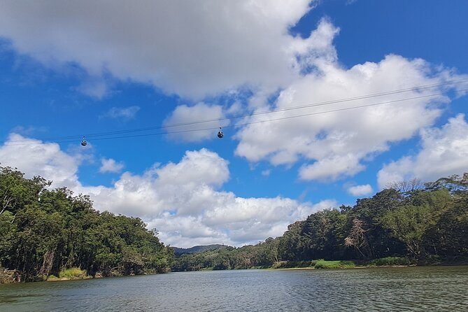 Cairns Small-Group Kuranda Tour: Skyrail & Scenic Railway - Price and value: what $186.48 buys you in real-world convenience