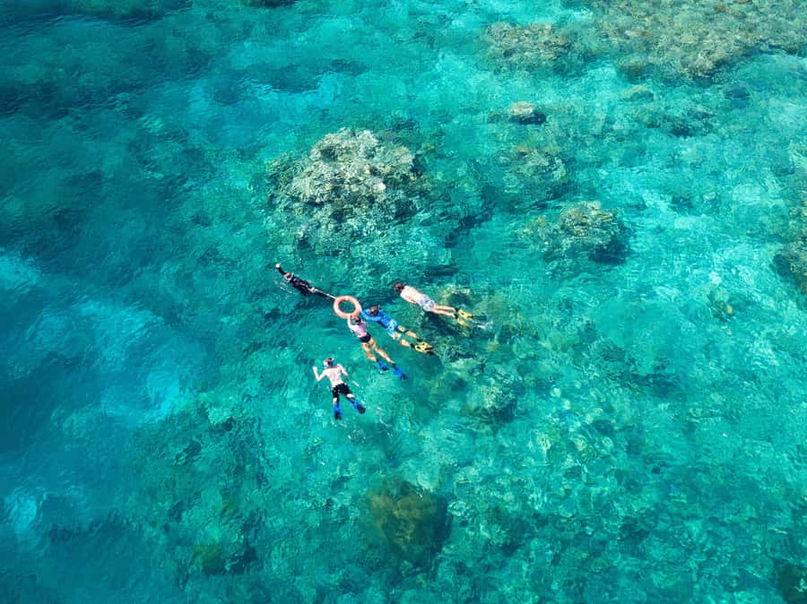 Cairns: Snorkelling and Diving Reef Day Trip - Intro scuba: what you get, and the requirements you must meet