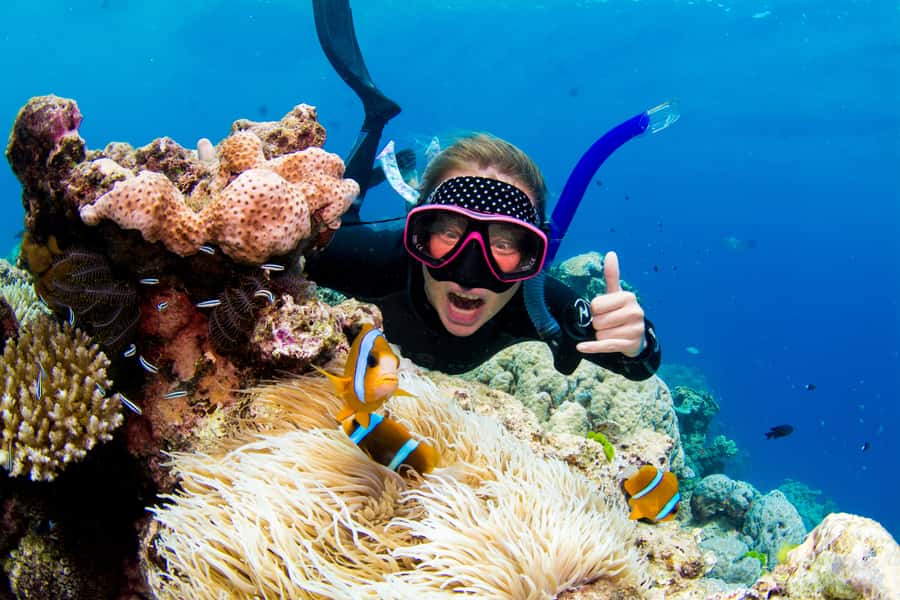 Cairns: Snorkelling and Diving Reef Day Trip - Snorkeling that’s guided, not just equipment handoff