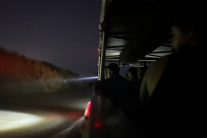 Cairns Sunset Cruise with Indigenous Culture and Canapes - Cairns sunset cruise at 5:30 pm: where the night starts