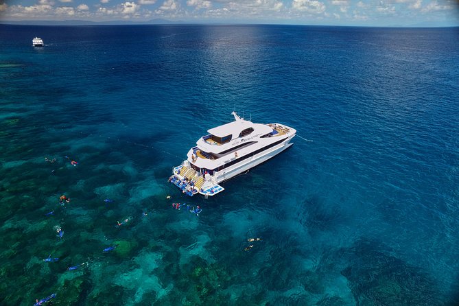 Cairns Super Saver: Reef Cruise, Daintree & Kuranda Rail/Skyrail - Three big days, one simple decision