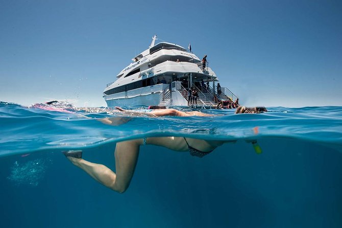 Cairns Super Saver: Reef Cruise, Daintree & Kuranda Rail/Skyrail - Outer-reef snorkeling tips: how to get the most from 5 hours