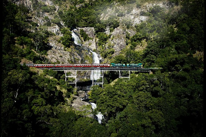 Cairns Super Saver: Reef Cruise, Daintree & Kuranda Rail/Skyrail - Daintree and Cape Tribulation: a long day with real payoff
