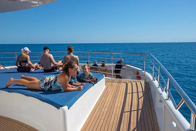 Cairns Super Saver: Reef Cruise, Daintree & Kuranda Rail/Skyrail - How the schedule really feels (and how to survive it)
