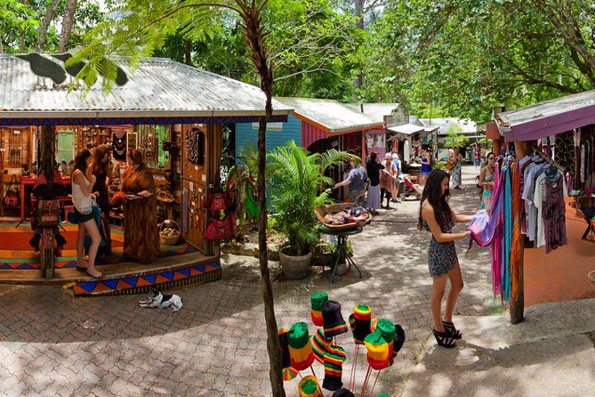 Cairns Super Saver: Reef Cruise, Daintree & Kuranda Rail/Skyrail - Price check: is $423.17 per person a smart deal?