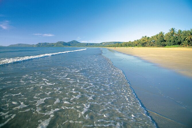Cairns to Port Douglas ONE WAY Private Transfer 6 pax - Small Surprises: Communication, Reliability, and Real Help When Plans Change
