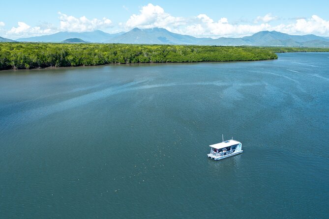 Cairns Trinity Inlet Sightseeing Safari - Key highlights worth planning around
