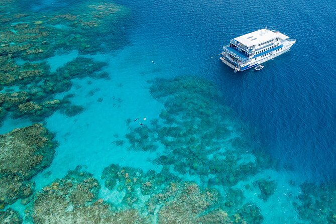 Cairns Trinity Inlet Sightseeing Safari - The guide experience: how the best part stays personal