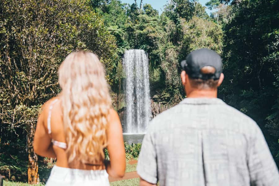 Cairns: Waterfall and Daintree Rainforest Tour - 2 Day Tours - Should You Book This Cairns Waterfall and Daintree Tour?