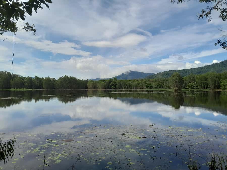 Cairns: Waterfall, Wetlands and Skyrail - Barron Falls at Din Din: why the cultural guide matters