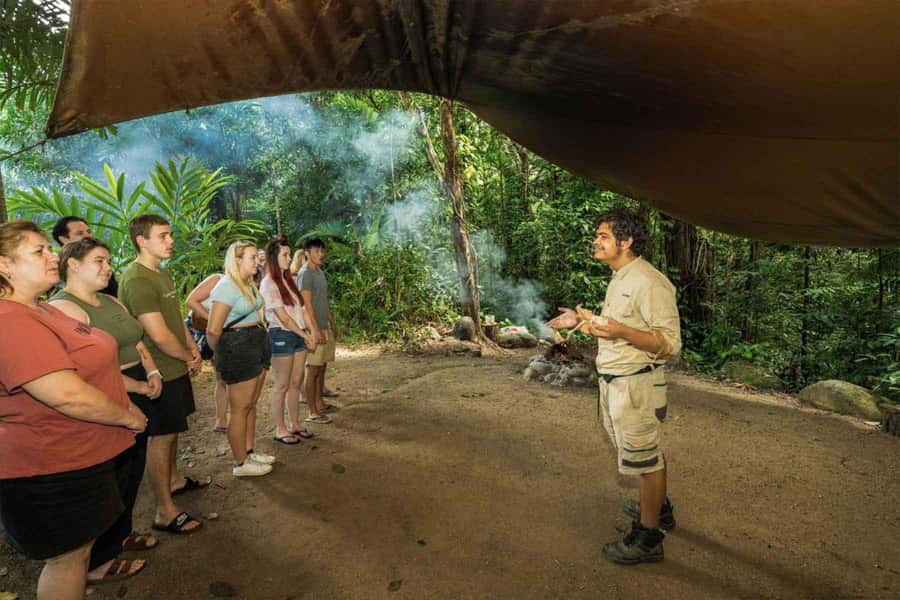 Cairns: Wildlife Habitat, Mossman Gorge, and Daintree Tour - Key things that make this tour worth it