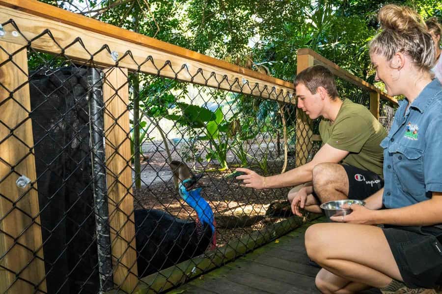 Cairns: Wildlife Habitat, Mossman Gorge, and Daintree Tour - Wildlife Habitat Port Douglas: conservation, animals, and real explanations