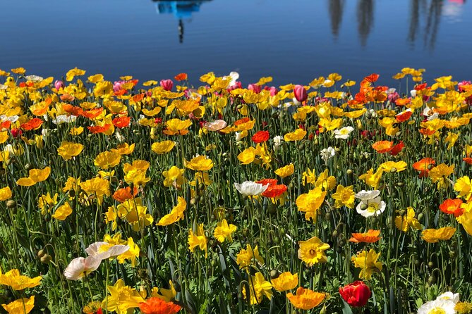 Canberra Floriade Tour - Quick highlights to know before you go