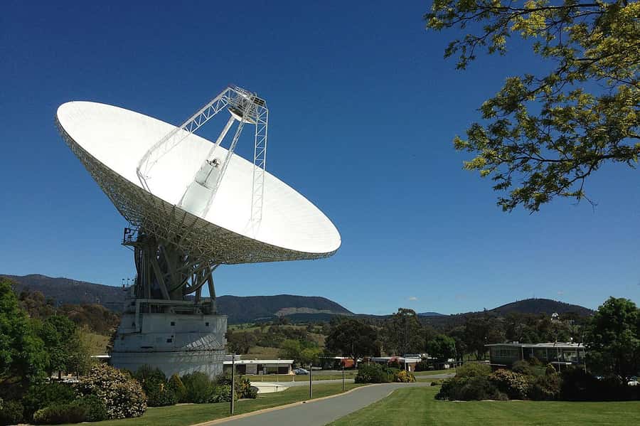 Canberra: Kangaroos and Koala Experience Tour - Key things I’d pack into your decision