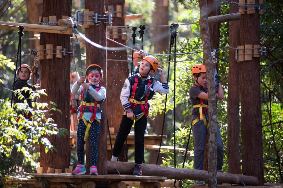Canberra: Majura Pines Junior Tree Ropes Course - Check-in at Treetops Adventure Canberra: keep it simple