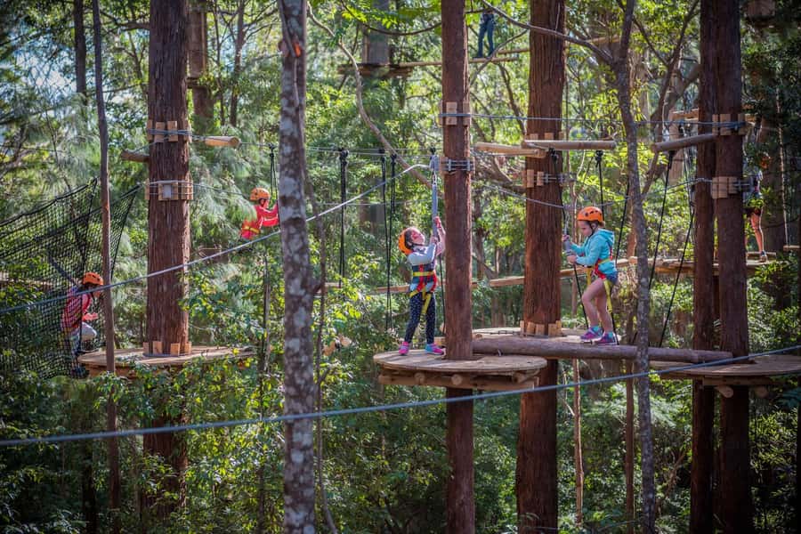 Canberra: Majura Pines Junior Tree Ropes Course - The 150 minutes that make it feel like a real outing