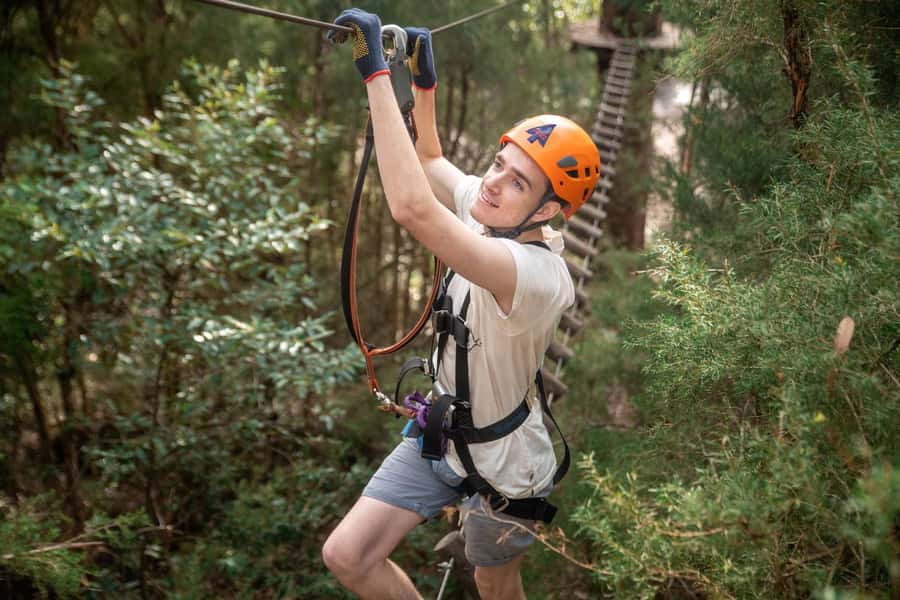 Canberra: Majura Pines Tree Ropes Course - Key highlights to know before you go