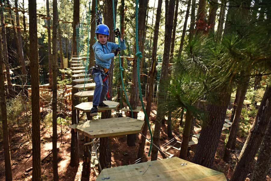 Canberra: Majura Pines Tree Ropes Course - Gearing Up and Learning the Basics Before Clip-In