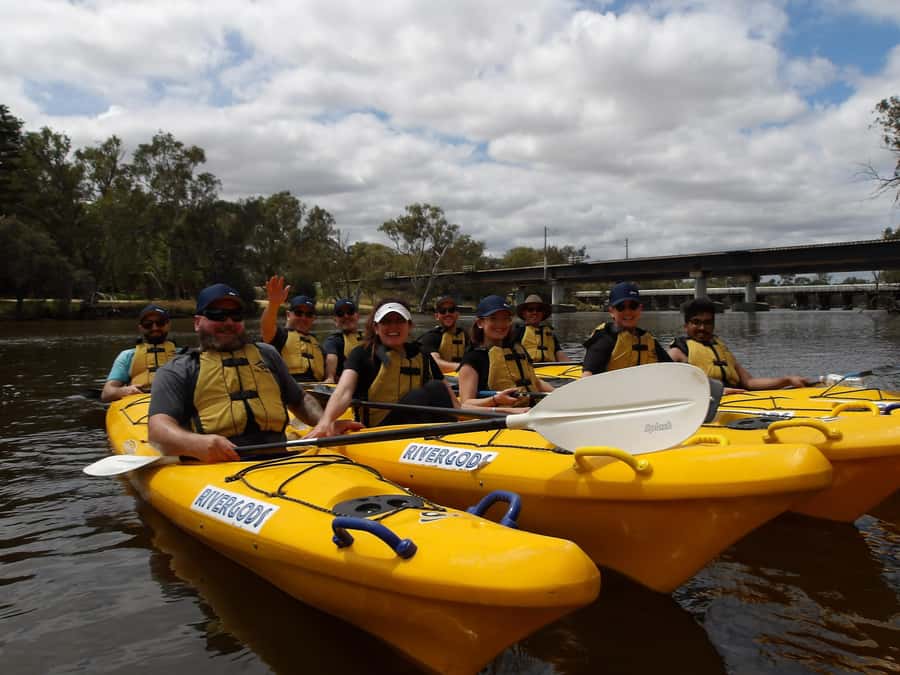 Canning River Half-Day Kayak Wildlife Tour - The paddle itself: paperbark trees, birdlife, and calm water