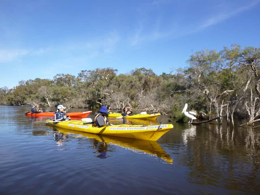 Canning River Half-Day Kayak Wildlife Tour - Meeting up, getting kitted out, and feeling safe fast