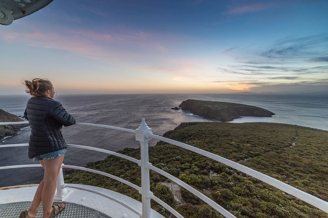 Cape Bruny Lighthouse Tour - Bruny Island - Seabirds, Marine Life, and the Whale-Spotting Question