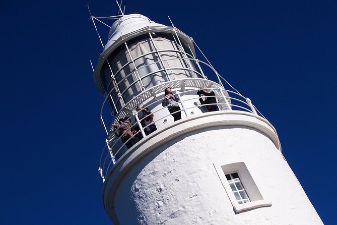 Cape Bruny Lighthouse Tour - Bruny Island - Why the Guide Matters More Than You’d Think