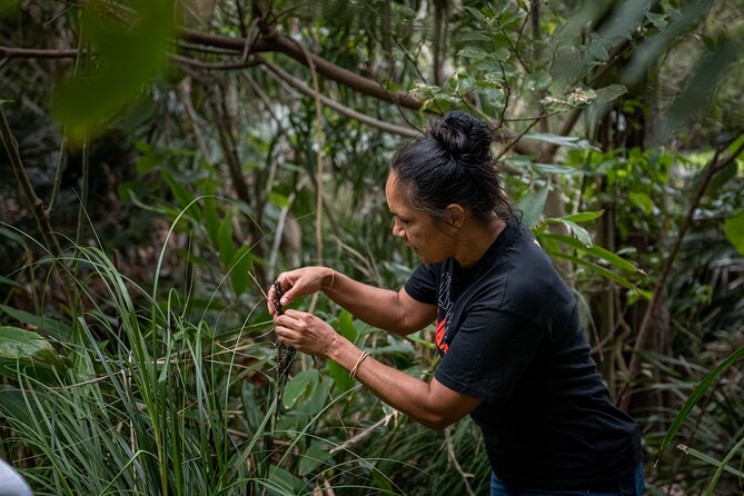 Cape Byron Aboriginal Tour - Price and value: is $53 reasonable for this walk?
