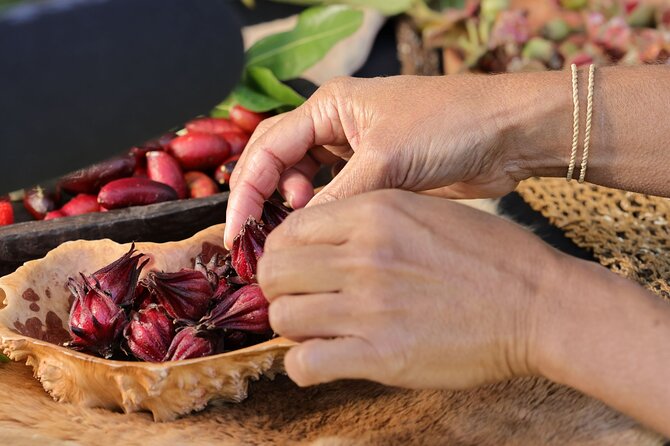 Cape Byron Aboriginal Tour - Logistics that actually matter: where to meet and what to bring